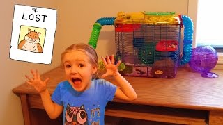 HAMSTER ESCAPED LOCKED CAGE!!! Rosie is Missing Somewhere in the House... Lost 🐹😱