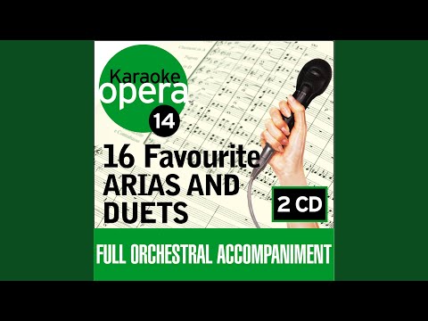 Barber Of Seville - Largo al factotum (no vocals)