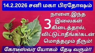 Download lagu 14.2.2026:இந்த ஆண்டின் முதல் சனிப்பிரதோஷம்!ஆண்டியையும் அரசனாக்கும் சக்திவாய்ந்த வழிபாடு,DON'T MISS! mp3 Download lagu 14.2.2026:இந்த ஆண்டின் முதல் சனிப்பிரதோஷம்!ஆண்டியையும் அரசனாக்கும் சக்திவாய்ந்த வழிபாடு,DON'T MISS! mp3
