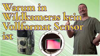 Vollformatsensor in Wildkameras und was Urin damit zu tun hat.