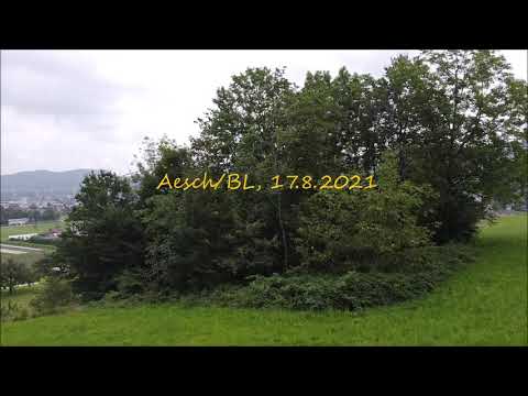 DJI Mavic Mini "Impressions from Aesch/BL in Switzerland"
