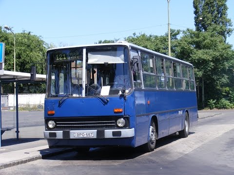 Budapest bus - Ikarus 260 BPO-667 @ 204