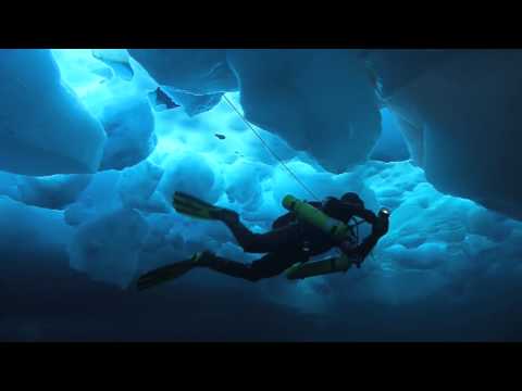 Teaser Deepsea Under The Pole by Rolex