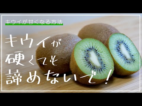 キウイベリーは食べられますか?食べられるならどうやって食べますか? 植物