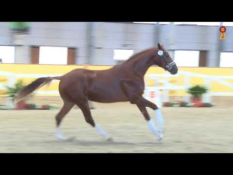 KN 49: Danone I x Florencio I