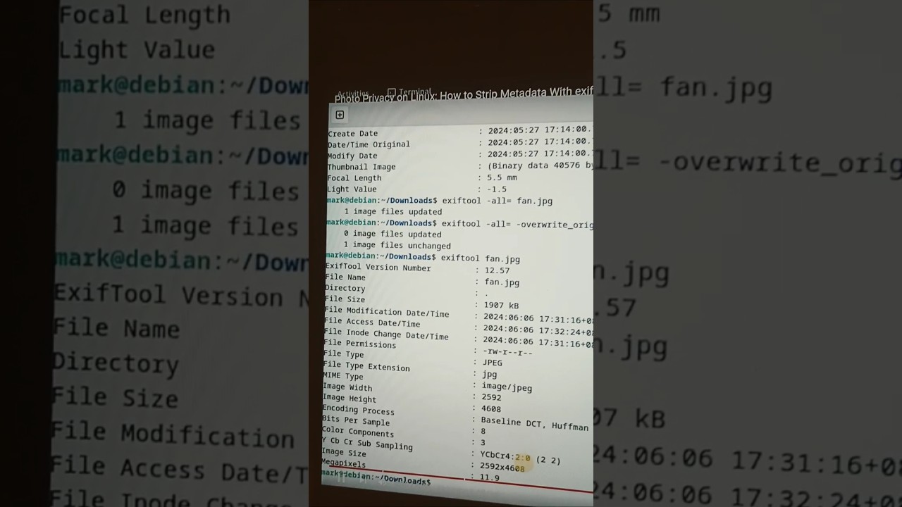 Photo Privacy on Linux: How to Strip Metadata With exiftool