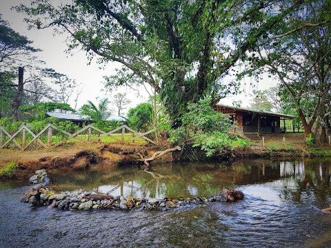 Imagen de Venta de Casas en San juan de mata - Turrubares San Juan de Mata - SAN JOSÉ