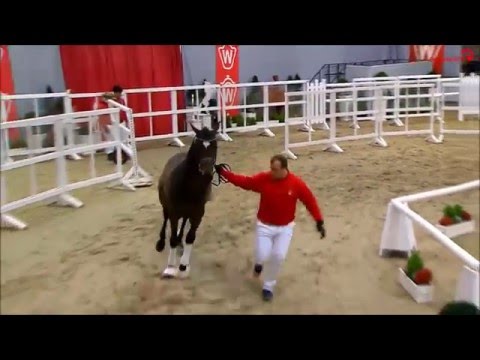 Da Costa v. Dimaggio - Coriander Körung 2015