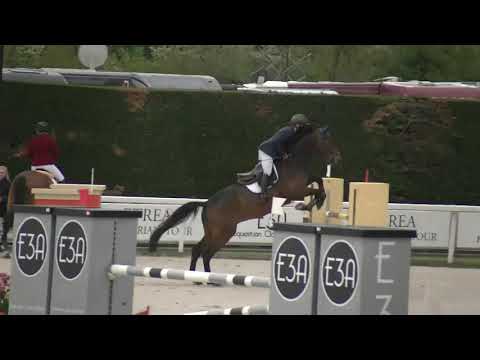 DIAMANT DE SEMILLY x CONTENDRO SI 2015