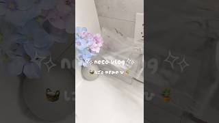 仕事休みの平日vlog 🧺#主婦の日常 #日常vlog #子どものいる生活