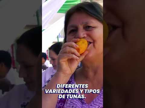 ¡LA TIERRA DE LA MEJOR TUNA NOS ESPERA! 🌵✨ ¡LLEGÓ LA V FERIA REGIONAL EN QINRAPA!