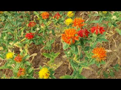 Природа Узбекистана / Горы / Релакс