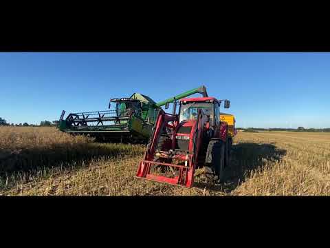 Żniwa 2020 rzepak 🌾🌾