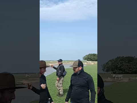 cravo norte sabanas del Arauca #biodiversity