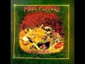 meat puppets - electromud