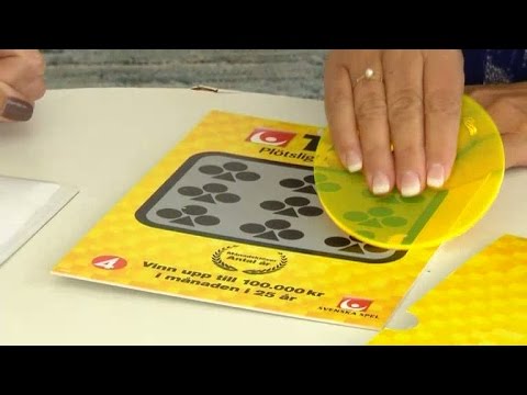 Maria skrapar Triss - Nyhetsmorgon (TV4)