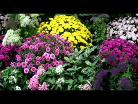 Na shledanou v horších časech - J. Uhlíř - K. Šíp