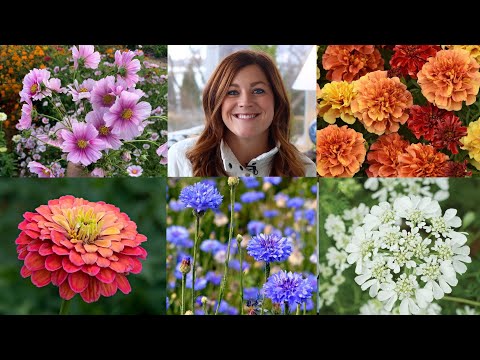 , title : '10 of the Easiest Annual Flowers to Start From Seed! 🌸🌻🌿 // Garden Answer'