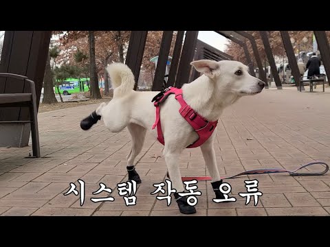 아이콘