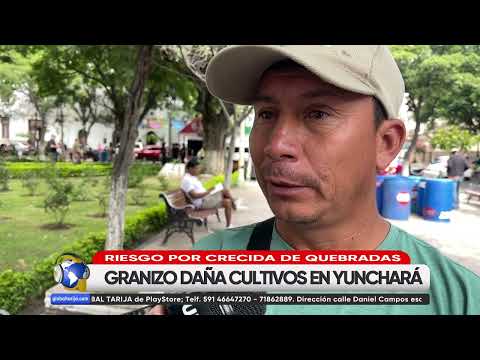 40 HECTÁREAS DE CULTIVOS EN YUNCHARÁ SUFREN FUERTE GRANIZADA