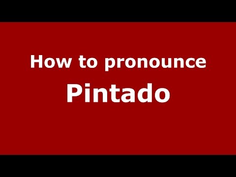 How to pronounce Pintado