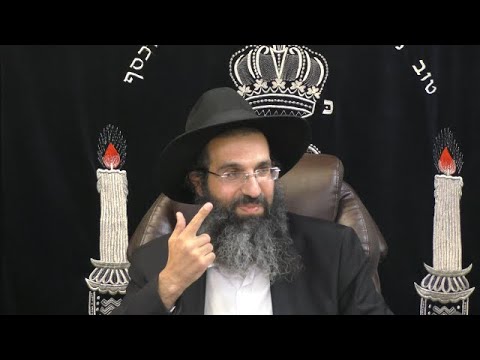 עץ חיים היא למחזיקים בה 🌴 הרב שי עובד | רביעי - פרשת שופטים - תשפב