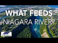 What Feeds Niagara River ToNiagara