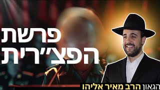 הרב מאיר אליהו | פרשת הפצ״רית | משכן יהודה - ה׳תשפ״ו (הרב מאיר אליהו) - התמונה מוצגת ישירות מתוך אתר האינטרנט יוטיוב. זכויות היוצרים בתמונה שייכות ליוצרה. קישור קרדיט למקור התוכן נמצא בתוך דף הסרטון