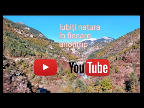 Motivatie să Iubim mai Mult ❌️ NATURA Poezie frumoasa In INIMA de Toamna Poem @pentruvoi