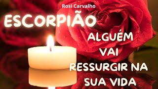 ♥︎ ESCORPIÃO 💃🏻⚘️ ALGUÉM NÃO SÓ QUER ,COMO VAI "RESSURGIR" NA SUA VIDA  🤩