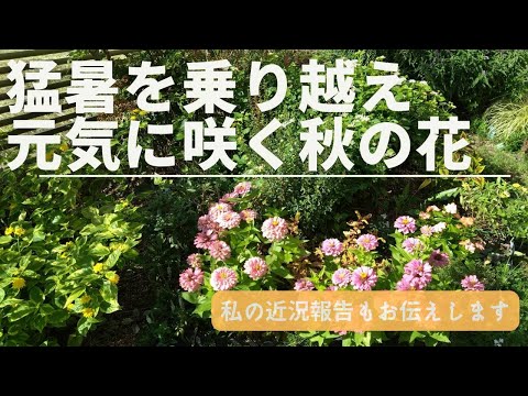 庭にエキゾチックな香りを吹き込むために、カリンの木をいつ剪定すればよいでしょうか?  庭園