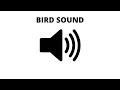 Sweet Bird Sound - Morning Sound Effect  Garden Bird