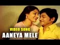 Aaneya Mele Kannada Video Song Haalu Jenu ಹಾಲು ಜೇನು Rajkumar Madhavi TVNXT Kannada M