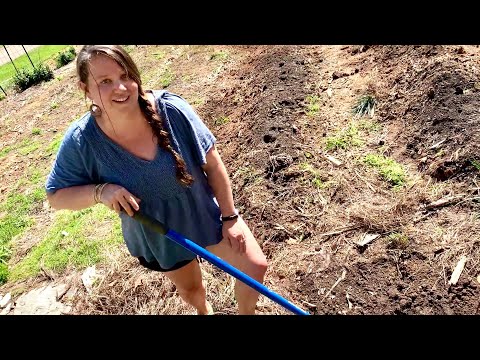 You Grow Girl! [FAMILY garden THERAPY WIN]