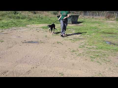 Vídeo de FINELLA