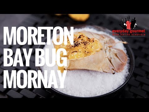 download lagu mp3 mp4 Moreton Bay Bug Meat, download lagu Moreton Bay Bug Meat gratis, unduh video klip Moreton Bay Bug Meat