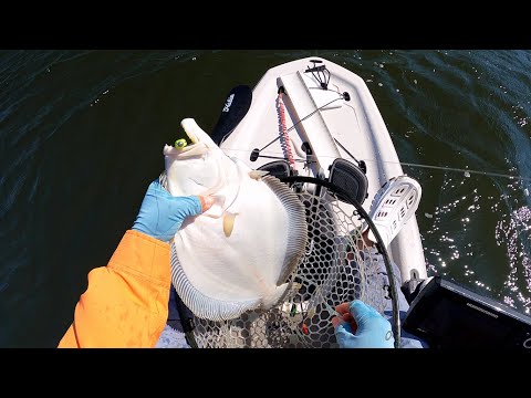 The Biggest Mistake Guys Make When Fluke Fishing - Hobie Lynx Kayak Flounder Jigging