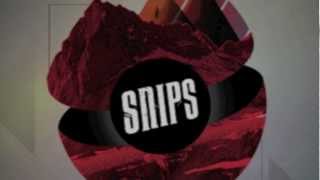 Digital Letter - The Snips