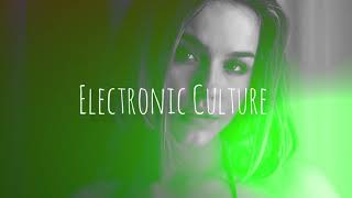 Vintage Culture &amp; Dashdot - Sinners &amp; Fools