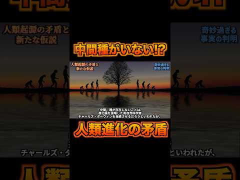 Nuvola アプリの本棚.svg