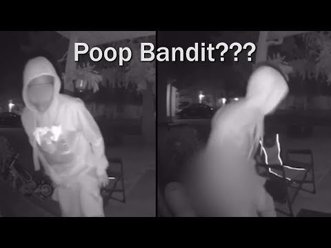 The Poop Bandit