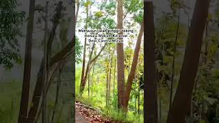 Download lagu Following the Cliffside Road to the Sacred Tomb of Dewi Candra Wulan ll Motovlog Sumedang #motovlog mp3