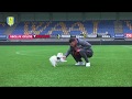 ? Laat jouw hond of kat voorspellen & winnen!