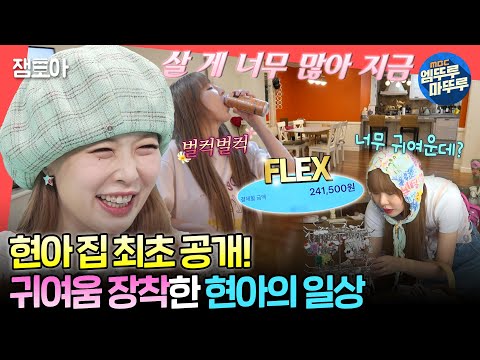 [#전참시] 현아의 취향으로 직접 꾸민 집 최초 공개✨ 1일 3에너지 드링크 마시고 소품샵 FLEX하는 현아의 일상🥰ㅣ#현아 MBC240511방송