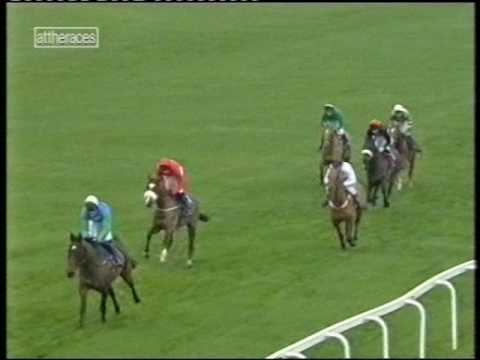 2002 40th Anniversary Handicap Chase
