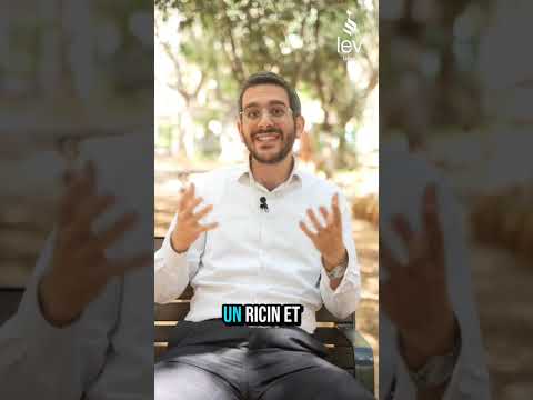 La Haftara de Yona & l'arbre d'Hashem ...par Rav David Boccara,Rav de la communauté Toledot Yitz'hak