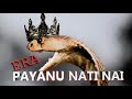 Era Payanu Nati Nai පයනු නැති නයී Official Music Visualizer