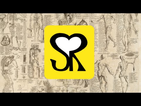 Trattamento del dolore nella minzione prostatite Massaggio prostatico con il dominio