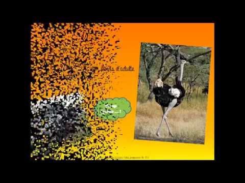 Méthode graphique : lire,  décrire et interpréter un graphique