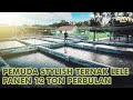 Hasilkan Ratusan Juta Di Umur 26 Tahun Sukses Budidaya Lele Panen 12 Ton Perbulan